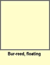 bur-reed,floating (r�sheisc chaol)