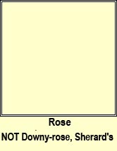 rose,Sherard's downy-rose (r�s Shioraird)