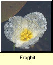 Frogbit (Greim an losc�in)